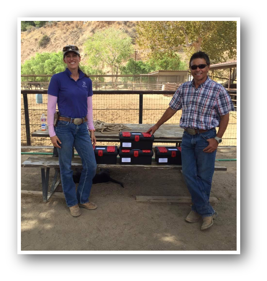 Field-side equine care